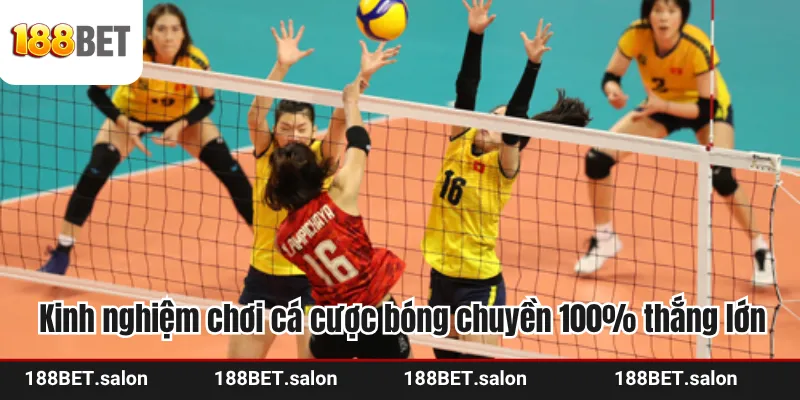 Kinh nghiệm chơi cá cược bóng chuyền 100% thắng lớn