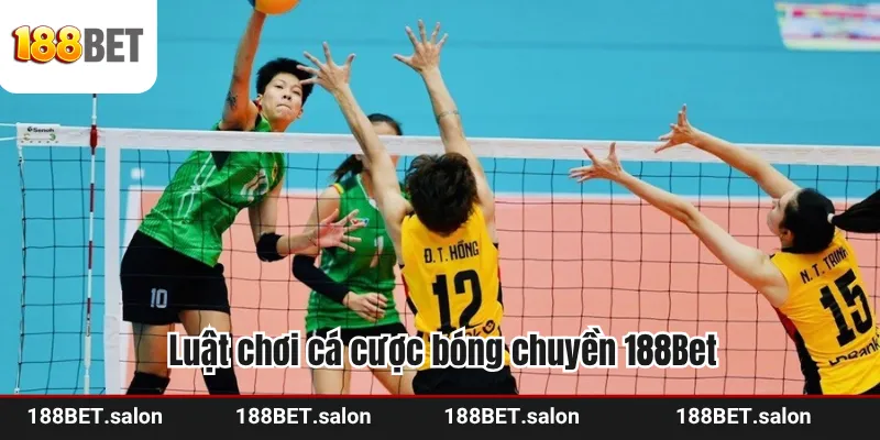 Luật chơi cá cược bóng chuyền 188Bet