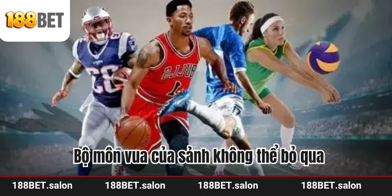 Bộ môn vua của sảnh không thể bỏ qua