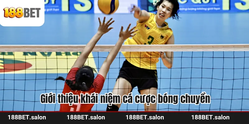 Giới thiệu khái niệm cá cược bóng chuyền